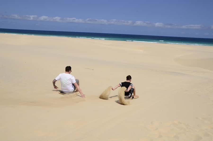 Boavista: Turtle, Shark, Santa Monica, Sandboard & Tasting - Turtle Bay and the Value of Seeing Wildlife in Place