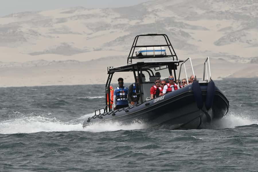 Boavista: Whale Watching half day trip - Who should take this trip?