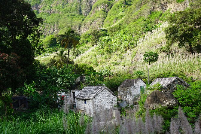 Cape Verde - Santiago, Fogo, São Vicente & Santo Antão Islands 11 Days - Days 4 and 5: Fogo, wine, and the volcano