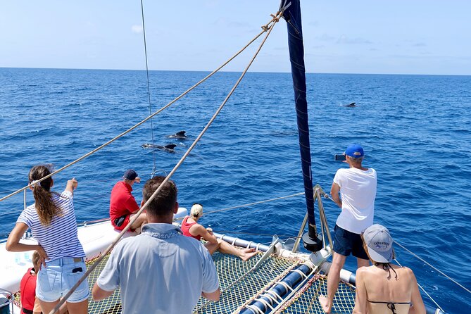 Catamaran Half Day - Beautiful day on the Atlantic Ocean - Setting out from Santa Maria