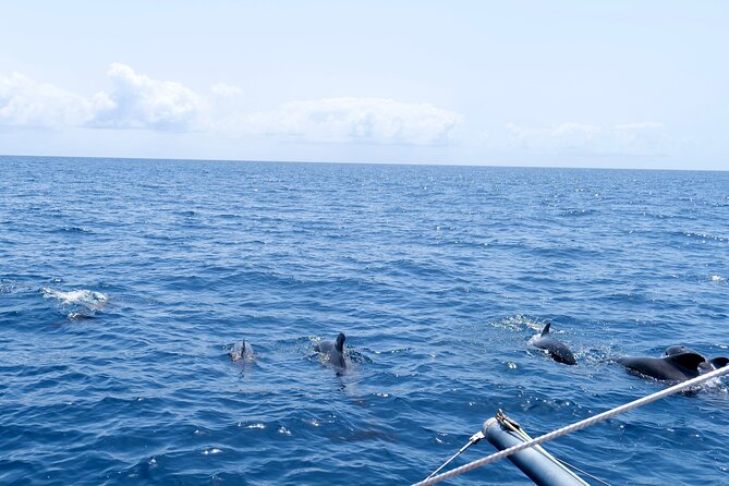 Catamaran Half Day - Beautiful day on the Atlantic Ocean - Swimming and snorkeling off the boat