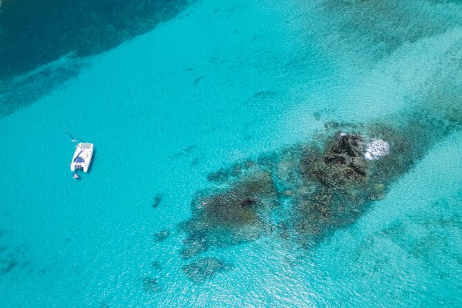 Catamaran Sailing Tour or Whale Watching at Boa Vista - Key points to know before you book