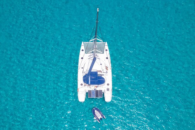 Catamaran Sailing Tour or Whale Watching at Boa Vista - Comfort, atmosphere, and what is included
