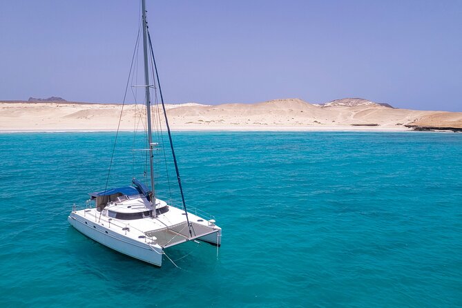 Catamaran Sailing Tour or Whale Watching at Boa Vista - Is $84.92 good value?