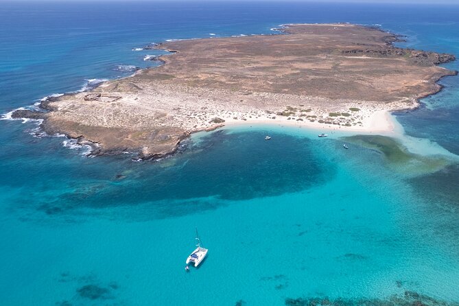 Catamaran Sailing Tour or Whale Watching at Boa Vista - Winter whale watching with a lighter touch