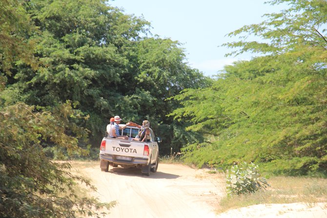 Combi Relax Tour - Sal Rei brings the island back to daily life