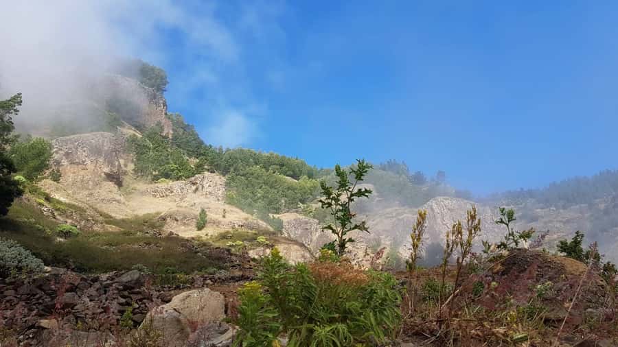 Cova–Paúl Valley Trek: Santo Antão Day Trip by Ferry - How grogue fits into the day