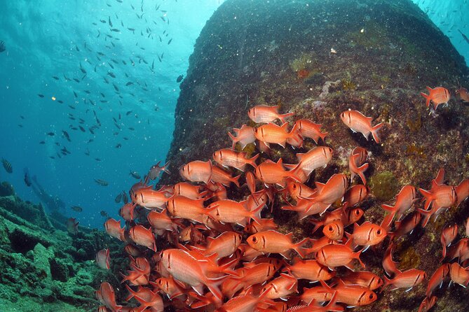Discover Scuba Diving in Sal - Who should book this experience?