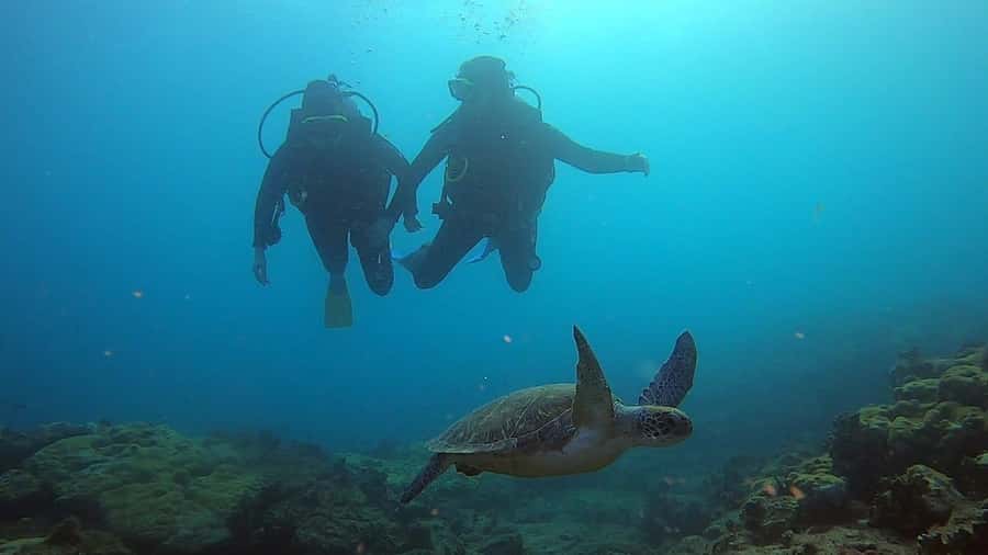 Discover Scuba Diving Program for Beginners - Day one: learning the gear and the underwater language