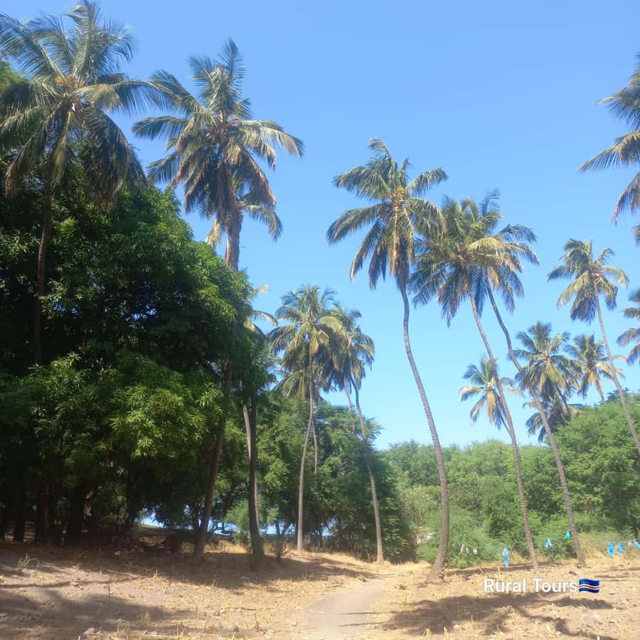 Discover the Black Sand Beach+the Natural Pool - Views from the rocks and cliffs