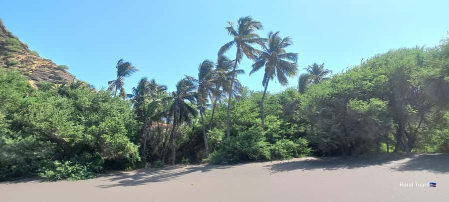 Discover the Black Sand Beach+the Natural Pool - Is $135 a good value?