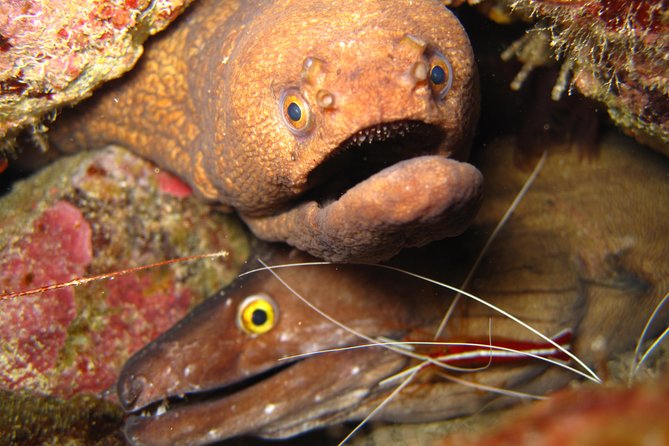 Double Diving in Sal Island - Half Day - The Sal scuba trip at a glance