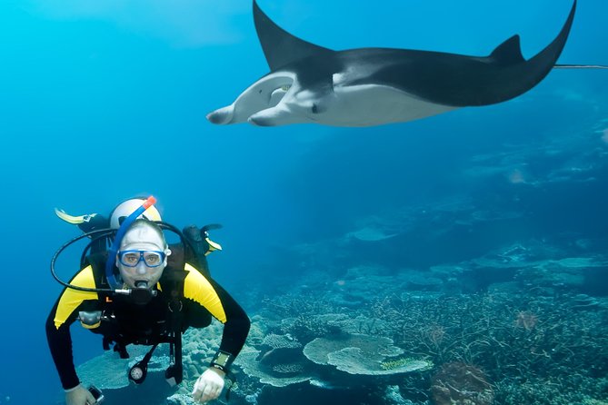 Double Diving in Sal Island - Half Day - First underwater session: fish, coral, and clear water