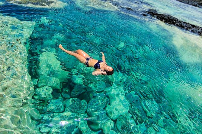 Experience on Sal Island with native and certified guide (including sharks) - Murdeira Bay and Monte Leão