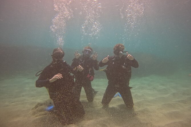 First Diving Experience Try Dive - Why the private format makes a difference