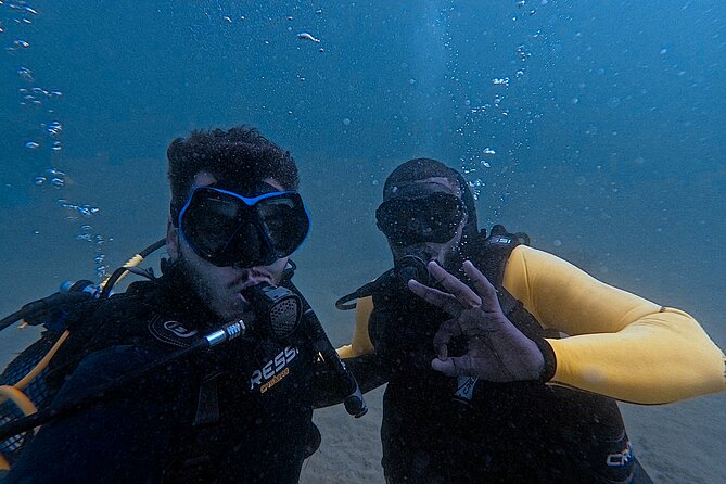 First Diving Experience Try Dive - Is $119.48 a fair price?