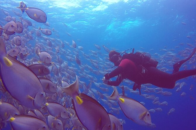 First Diving Experience Try Dive - What happens during the three-hour session