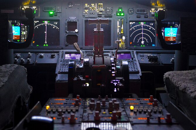 Flight Simulation Experience - Who will enjoy this 737 introduction most