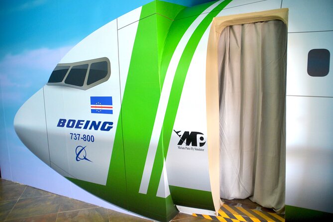Flight Simulation Experience - Why the cockpit systems matter