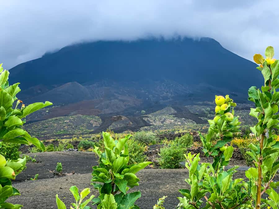 Fogo Island: Pico do Fogo Volcano Summit Hike - Key points to know before climbing Pico do Fogo