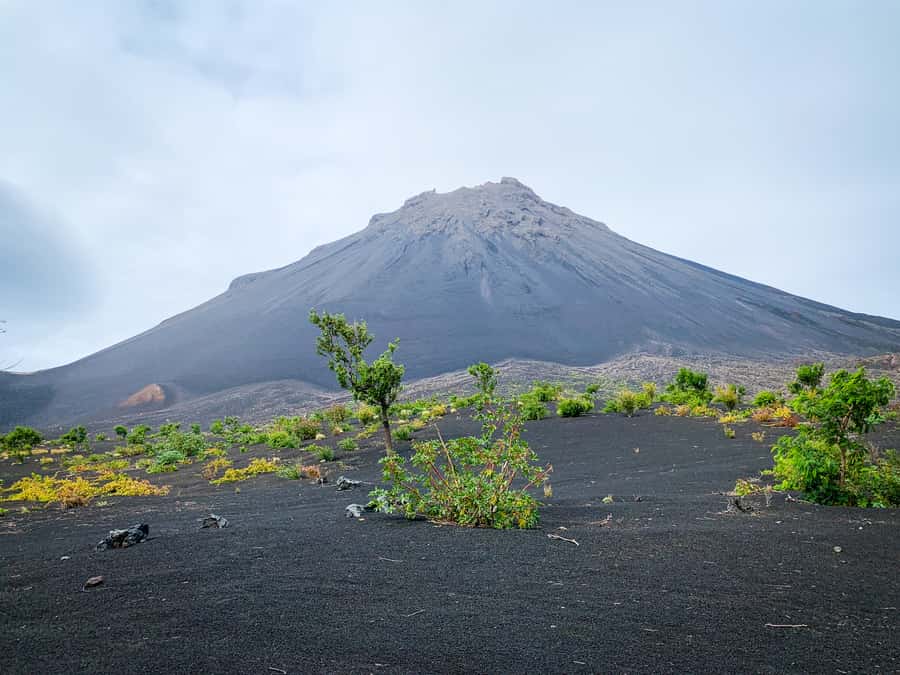 Fogo Island: Pico do Fogo Volcano Summit Hike - The 3 to 4 hour ascent through volcanic terrain