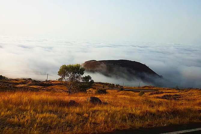 Fogo Island: Spectacular Vulcano HIking Experience(2829 m) - Should you book Pico do Fogo with Bu Country Tours?