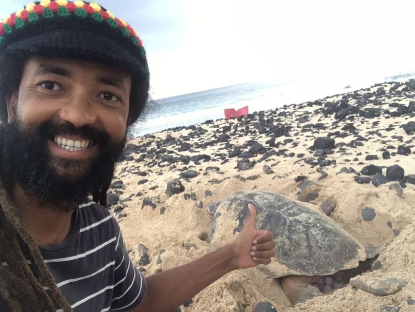 From Boa Vista: Turtle Watching and Nesting Evening Tour - Who will enjoy this turtle expedition most
