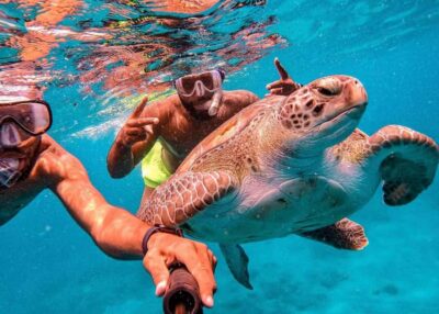 São Vicente’s Enchanting Sea Turtle Snorkeling