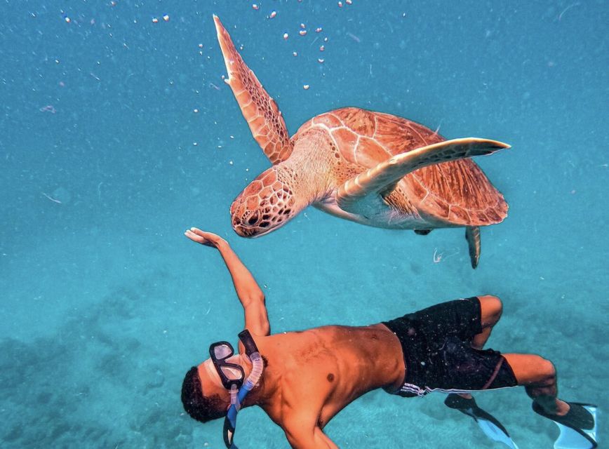 From Mindelo: São Vicente's Enchanting Sea Turtle Snorkeling - Who should book this São Pedro outing
