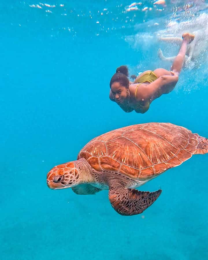 From Mindelo: Snorkel and Swim with Sea Turtles - Why São Pedro Makes This An Easy Add-On From Mindelo