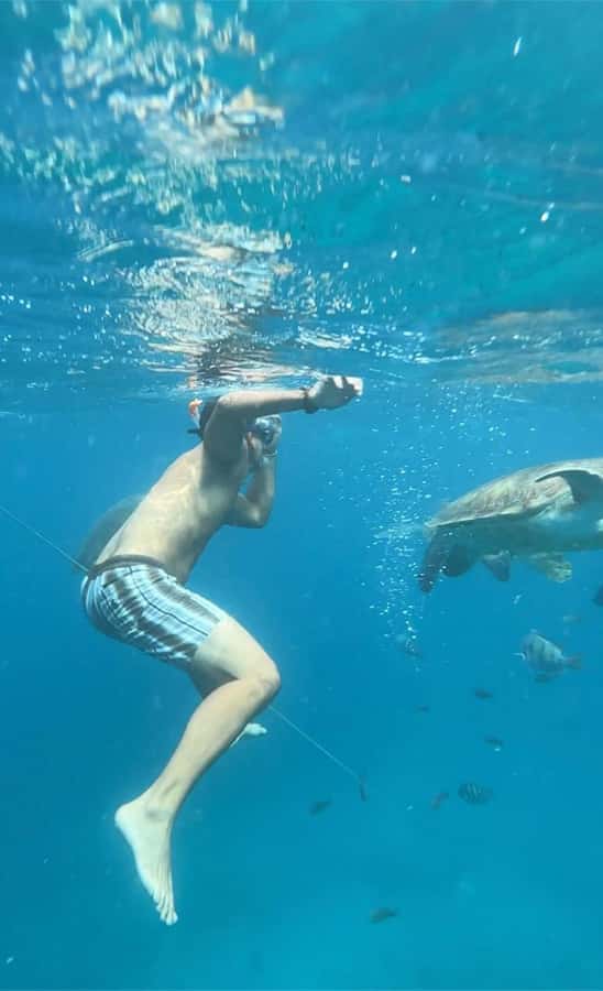 From Mindelo: Snorkel and Swim with Sea Turtles - Is $68 A Fair Price?