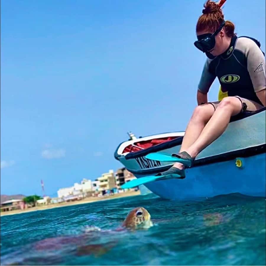 From Mindelo: Snorkel and Swim with Sea Turtles - Who May Want A Different Activity