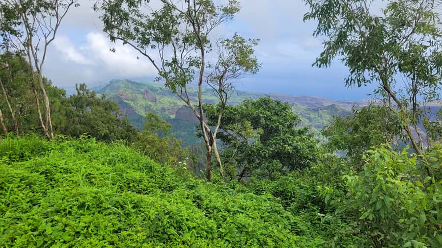 From Praia: Explore the island with local Tour guide - What to bring and what to budget