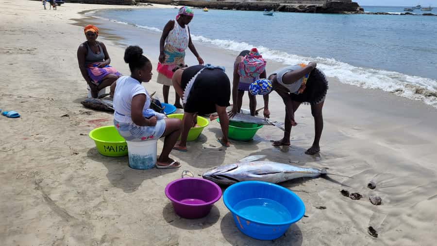 From Praia: Explore the island with local Tour guide - The east coast return is part of the experience