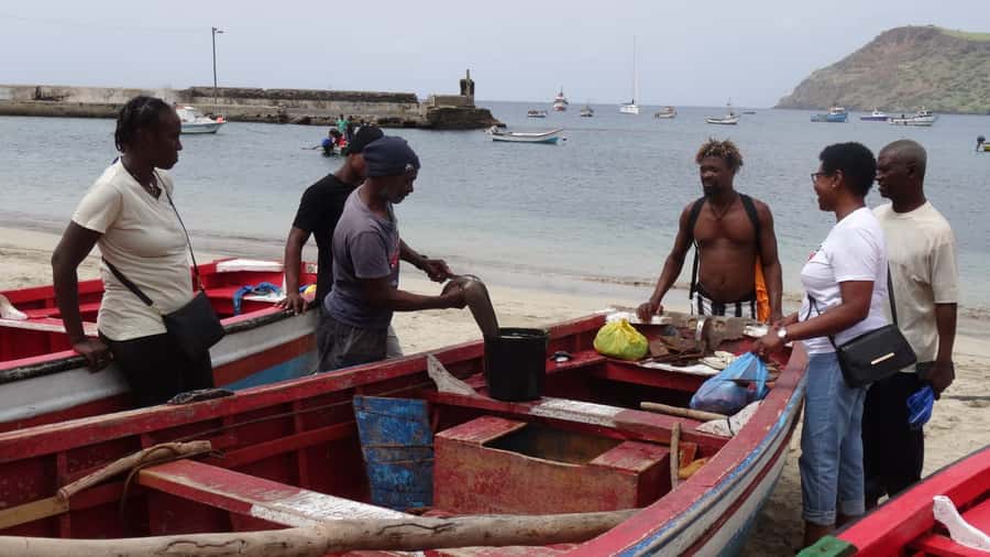 From Praia: Explore the island with local Tour guide - What the eight-hour schedule feels like
