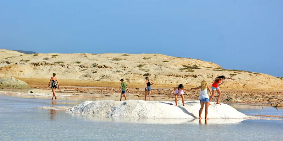 From Sal Island: Blu eye, Salt lake, Lemon Sharks & Palmeira - What the guides add to the day