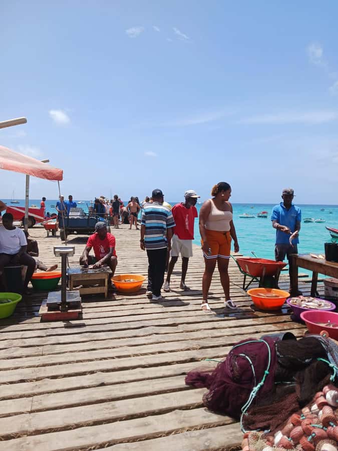 From Sal Island: Blu eye, Salt lake, Lemon Sharks & Palmeira - Espargos gives you lunch and a wider view