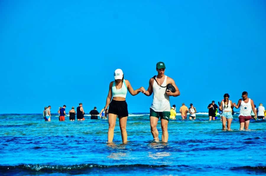 From Sal Island: Blue Eye, Salt Lake, Lemon Sharks, Palmeira - Key points to know before you go
