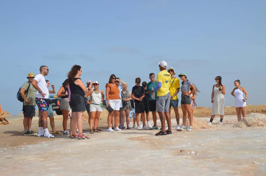 From Sal Island: Blue Eye, Salt Lake, Lemon Sharks, Palmeira - Palmeira offers a quick look at everyday island life