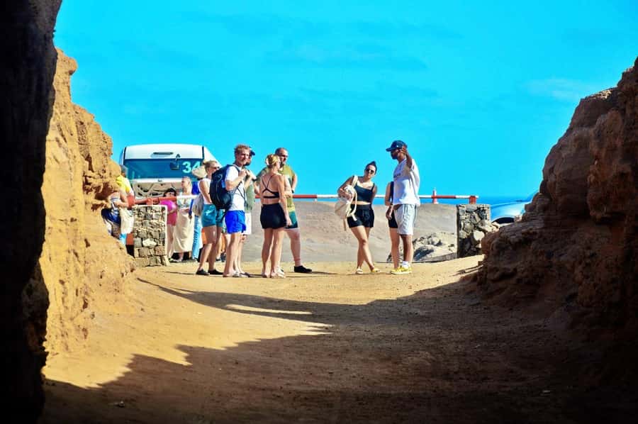 From Sal Island: Blue Eye, Salt Lake, Lemon Sharks, Palmeira - Shark Bay brings the day’s most unusual encounter