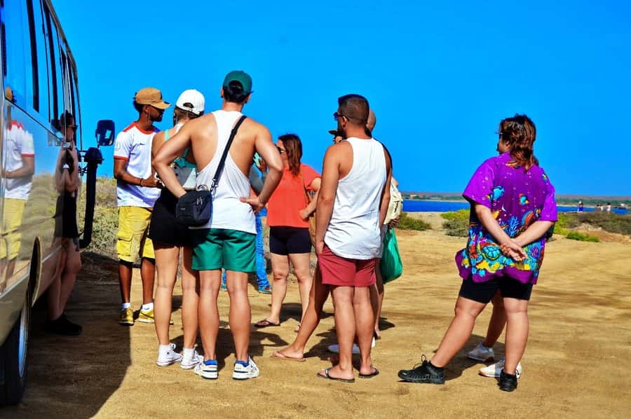 From Sal Island: Blue Eye, Salt Lake, Lemon Sharks, Palmeira - The vehicle can shape your whole impression