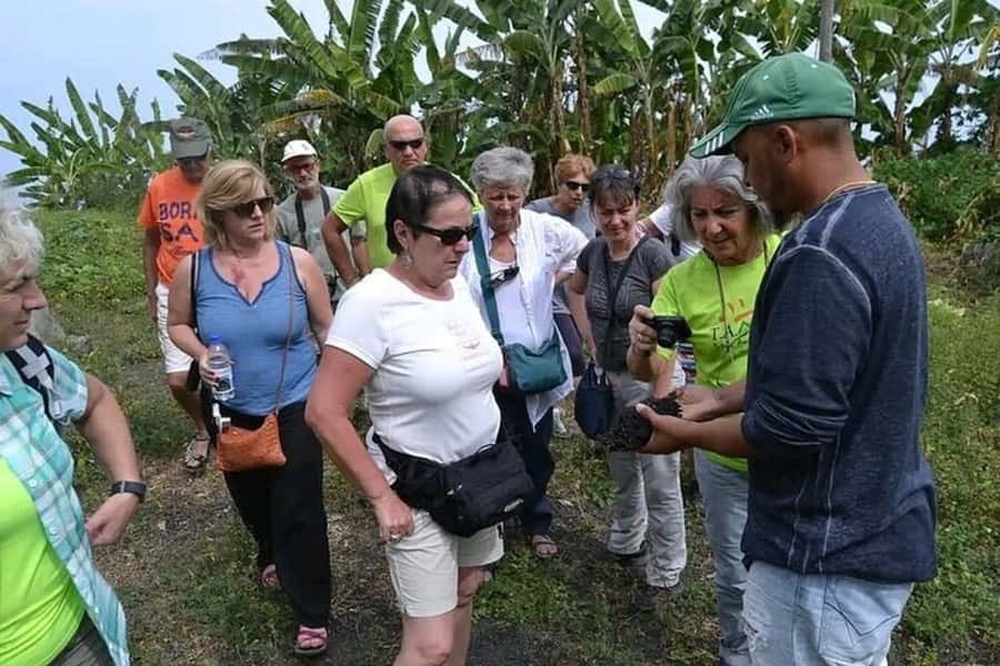 From São Filipe: Crater, Tastings & Historic Villages Tour - Why this Fogo tour covers more ground than most day trips