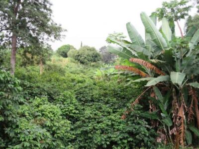 Crater, Tastings & Historic Villages Tour