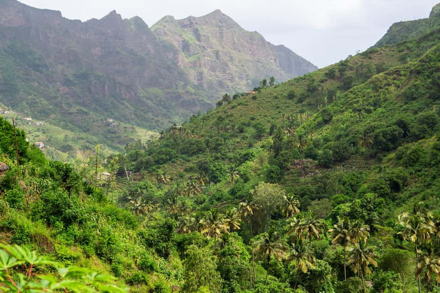 From Tarrafal: Serra to Principal Hike & Lunch with locals - Plants, animals, and views along the route