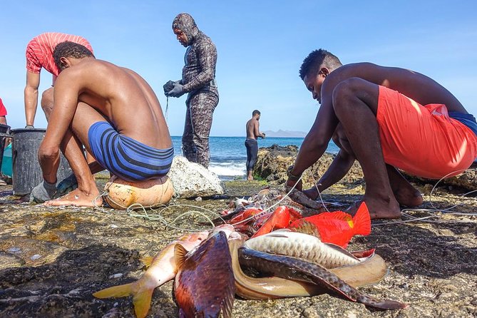 Full Day Island Tour, Highlights of São Vicente - Calhau’s farms, animals, and traditions
