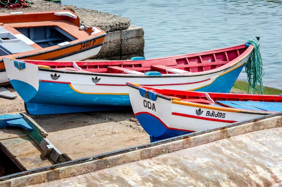 Full Day Postcards of Sal Tour with Kite Beach and Lunch - Key points to know before you book