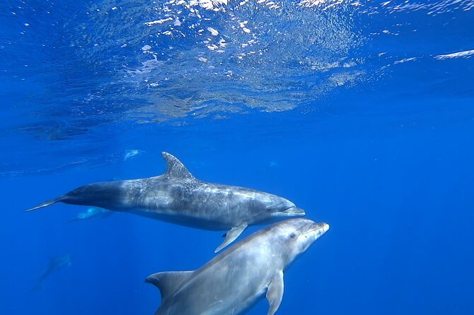Full day Sailing yacht - Beautiful day on the Atlantic Ocean - Lunch, drinks, and the onboard rhythm