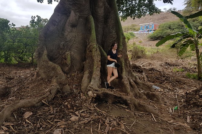Full Day Santiago Island Tour - Private Transport Makes the Timing Easier