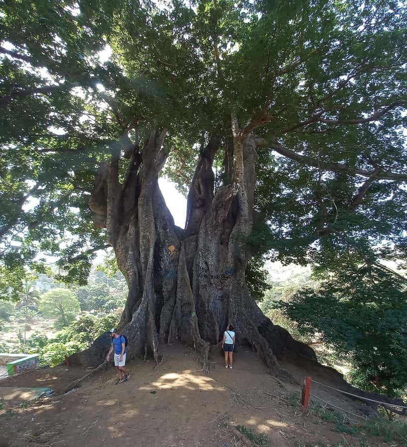 Full-Day Santiago – Villages, Nature & Local Culture - The tour at a glance