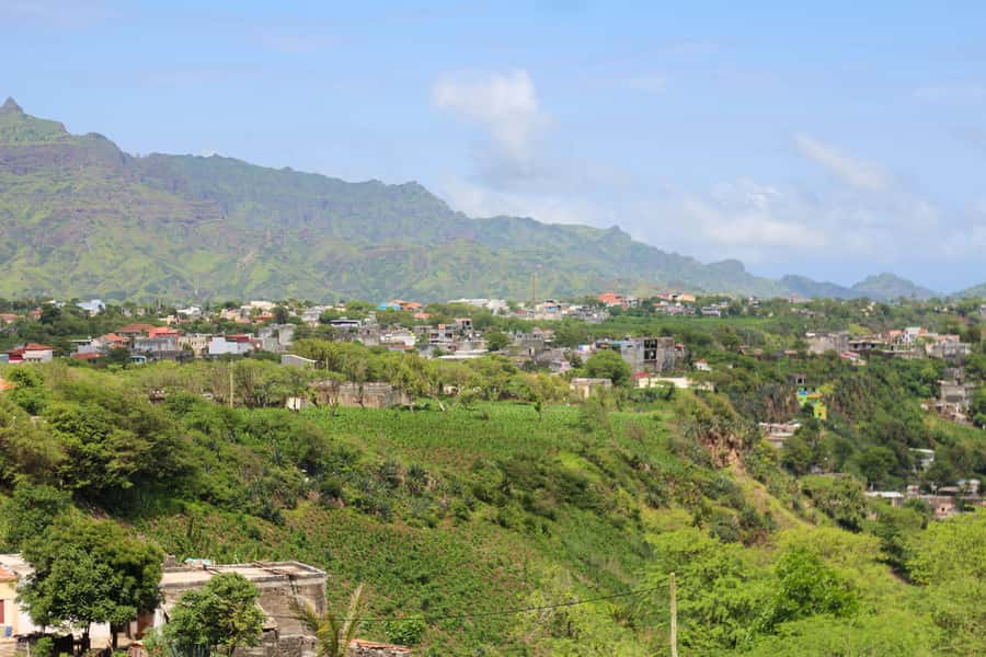 Full-Day Santiago – Villages, Nature & Local Culture - Boa Entrada’s giant kapok tree